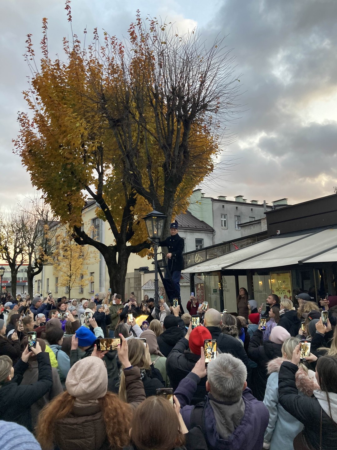Групповая экскурсия в Брест и Беловежскую пущу (Наталья)