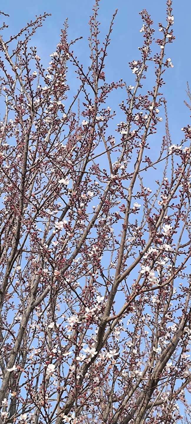 Великолепная экскурсия, мы остались очень довольны. Шохрух не только прекрасный рассказчик и гид, но и очень