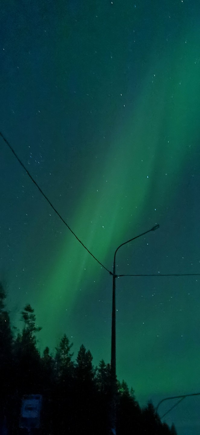 Знакомство с Хибинами в Кировске (Анастасия)