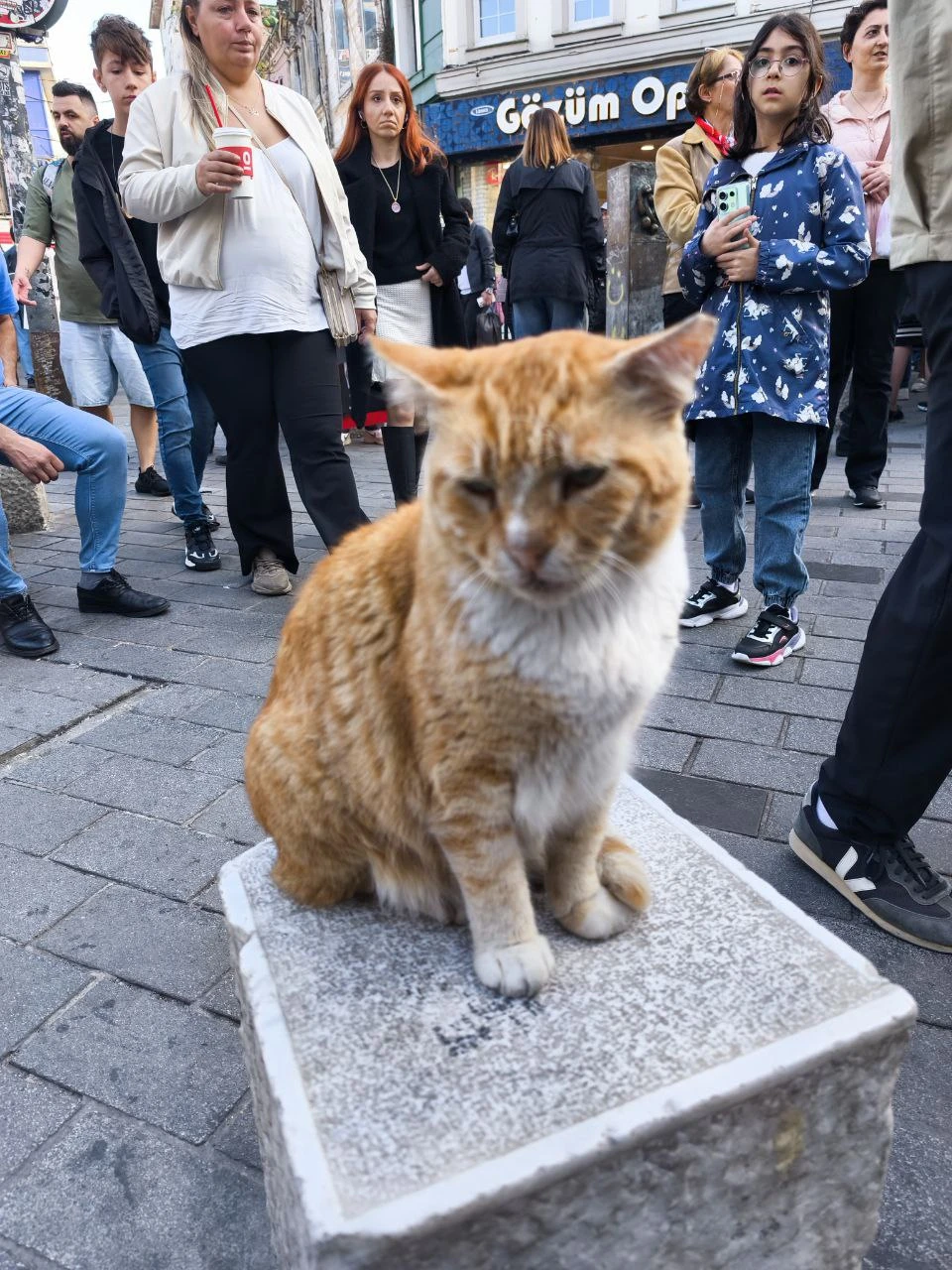 С большим удовольствием посетили экскурсию, проведенную уважаемым Омером 01 ноября 2025 года. Омер - прекрасный человек