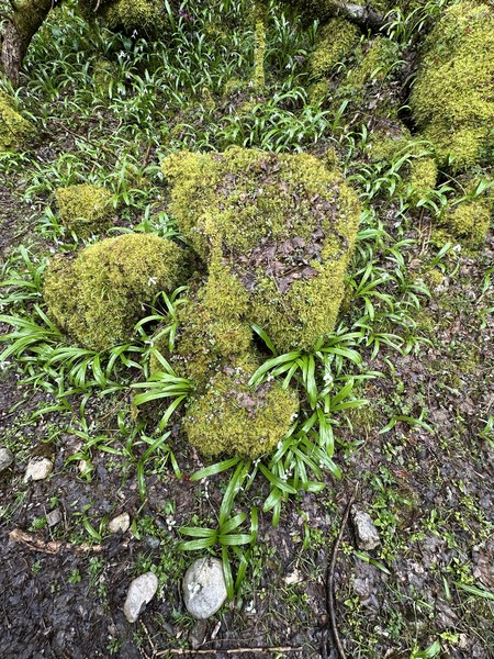 я просто в восторге от этой поездки, благодарю организаторов, Вячеслава, это наш гид был и водитель