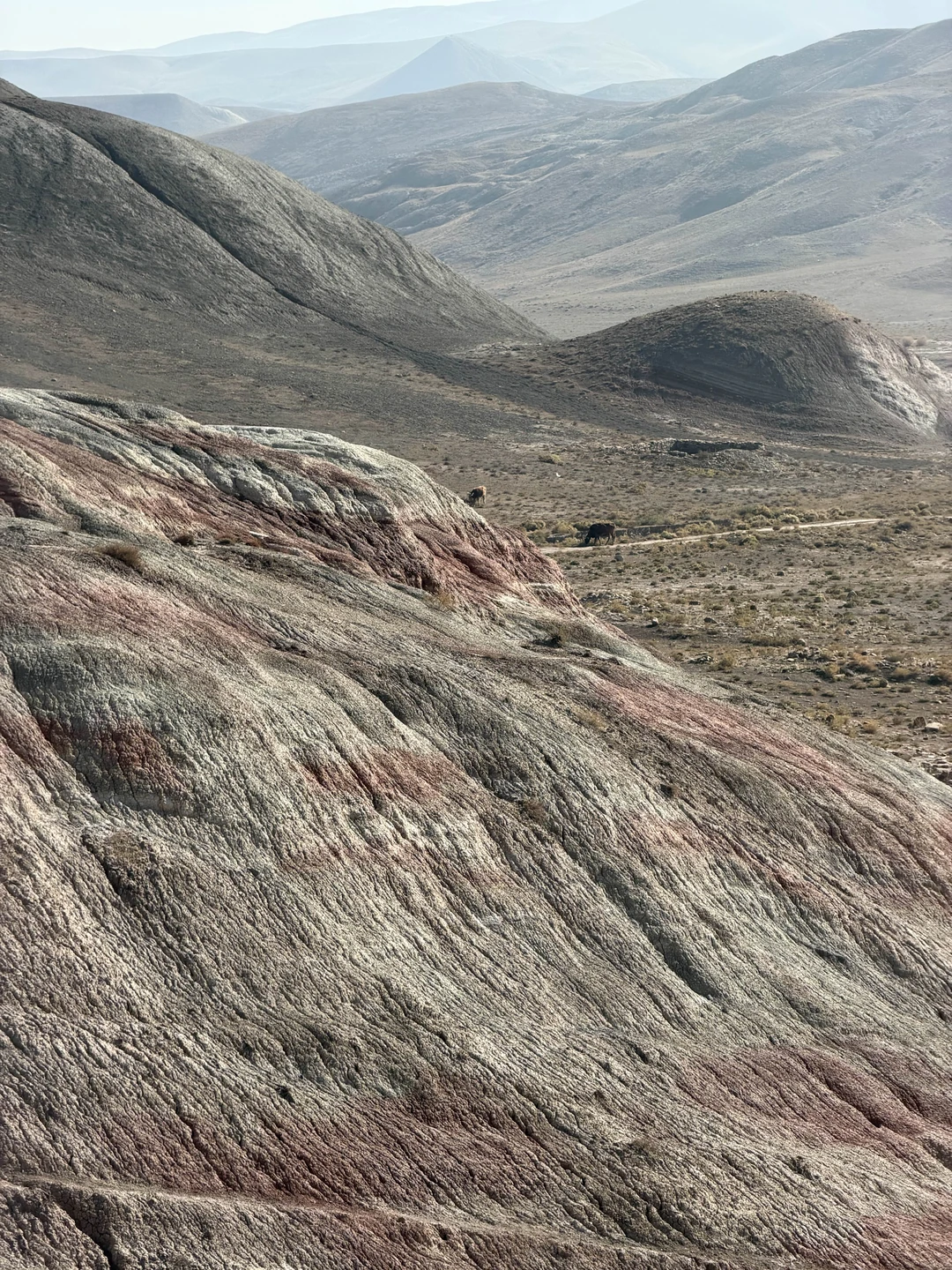 Нашего гида звали Мурад. Экскурсия очень понравилась, было 3 локации, по пути рассказывал о местах которые