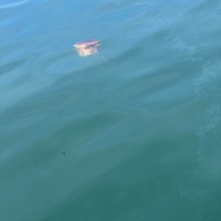 reviews img