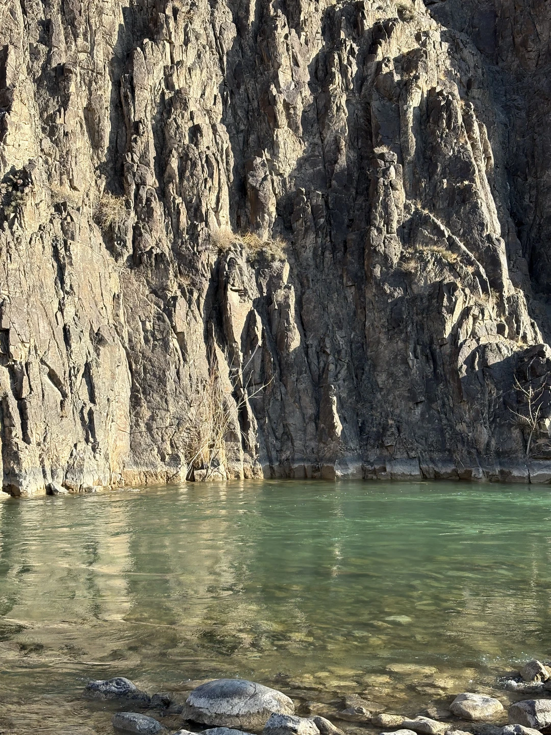 Невероятное чудо расчудесное)))