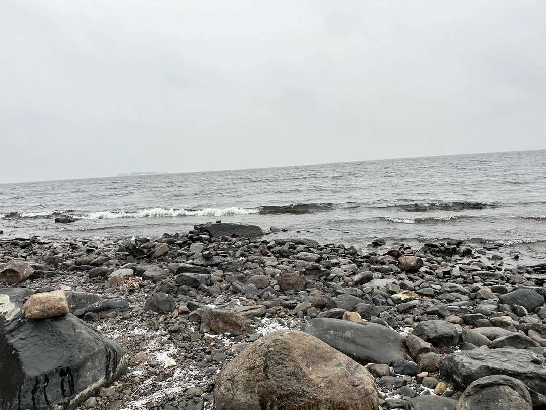 Чудесная экскурсия! Красивая природа и удивительный живой лес!!! Рекомендую 👌