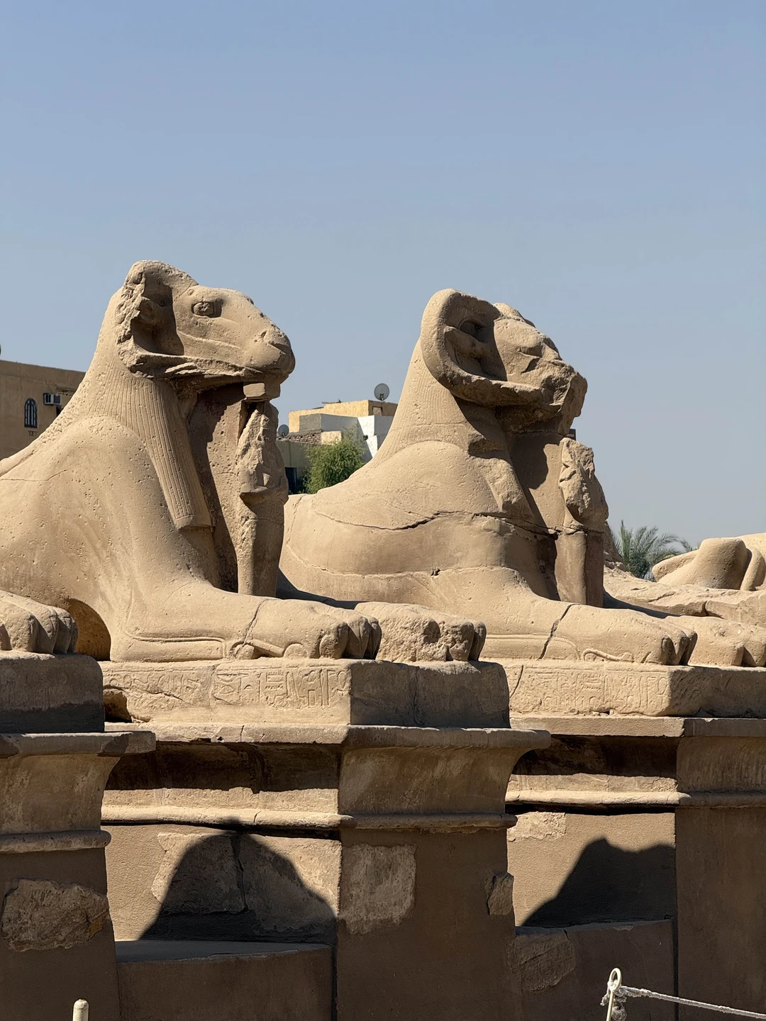 Брали индивидуальную экскурсию, гид у нас был Мамдух