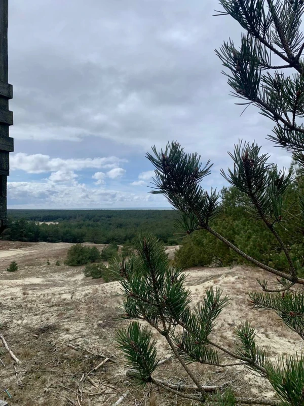 Из Калининграда - на Куршскую косу, в замок Нессельбек и в Зеленоградск