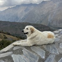 reviews img