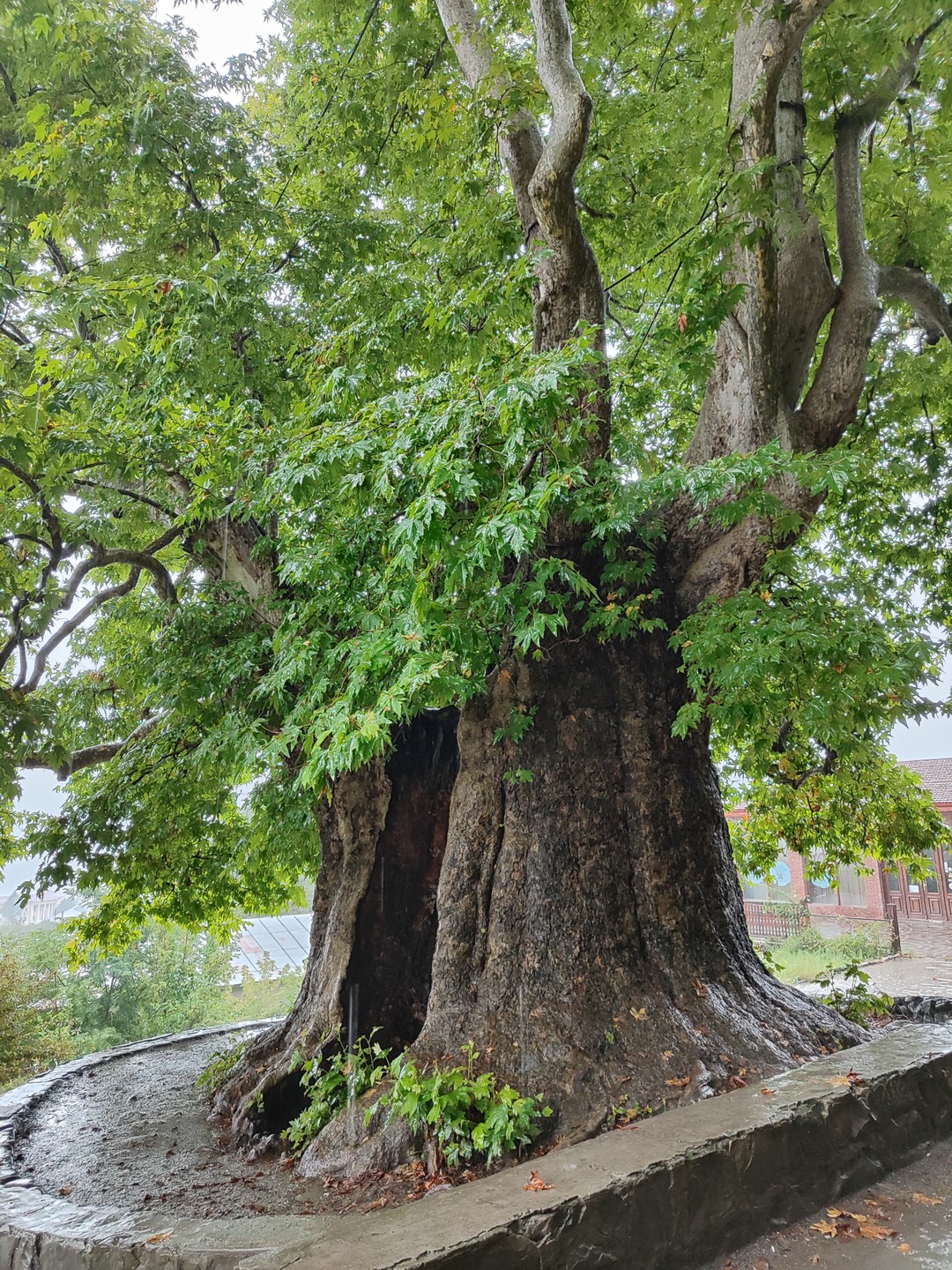 Остановили свой выбор на туре с Александром, поскольку именно его программа полностью совпадала с нашими интересами: