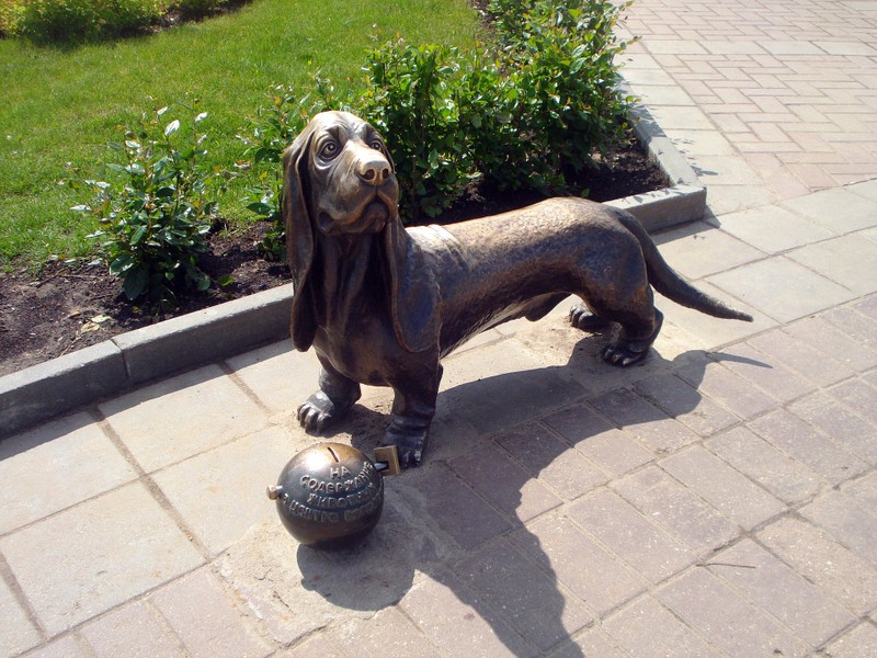 Знакомьтесь, Кострома