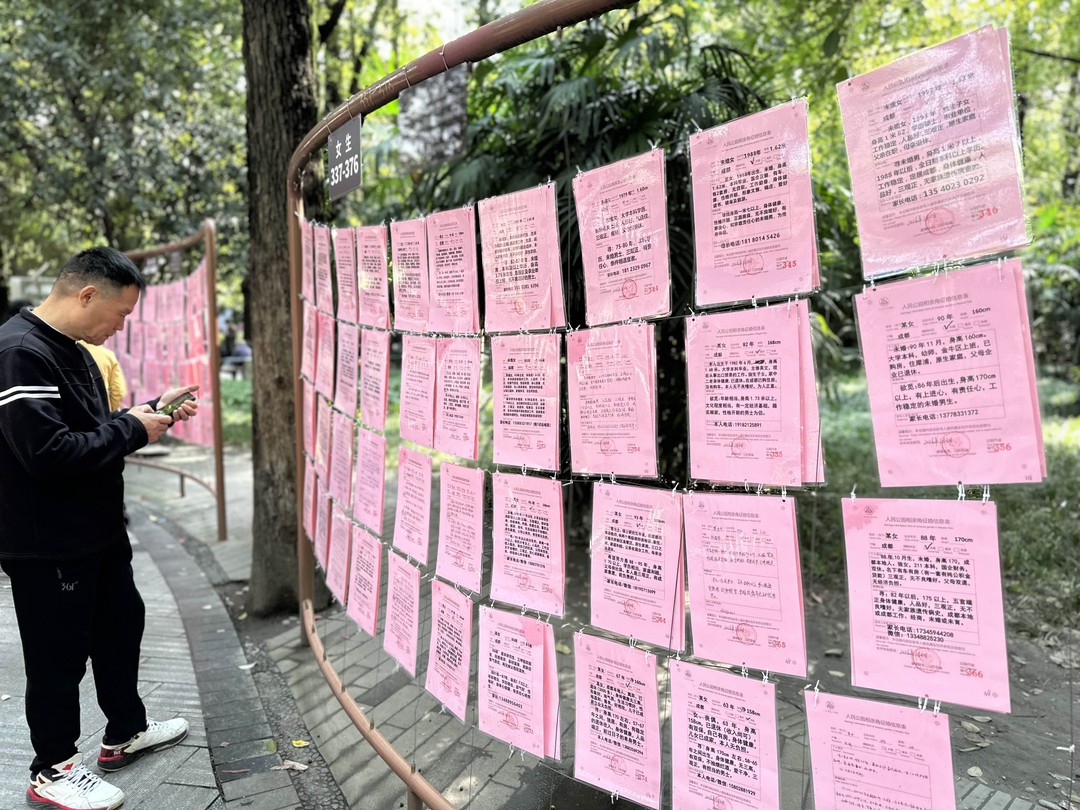 Спасибо Ольге за такую замечательную, познавательную и интересную экскурсию. Прекрасный рассказчик и собеседник. Сразу нашла общий