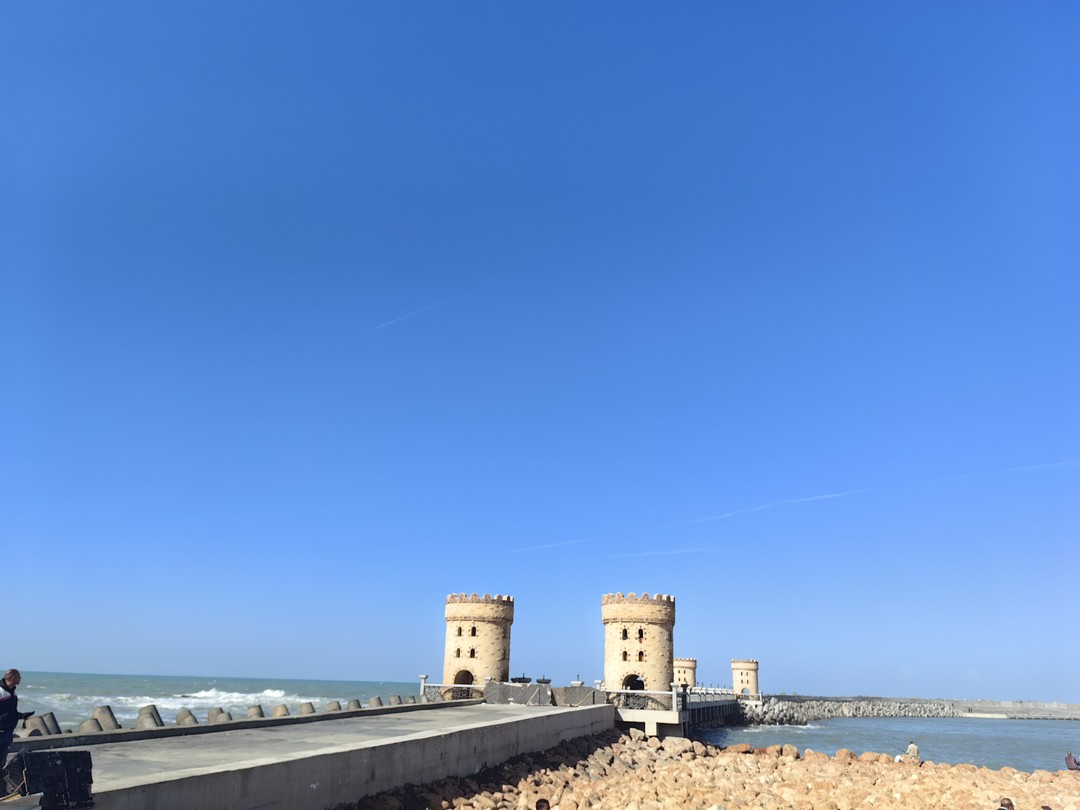 Ездили на экскурсию в Александрию из Каира. Если отель находится в районе Гизы, то ехать меньше