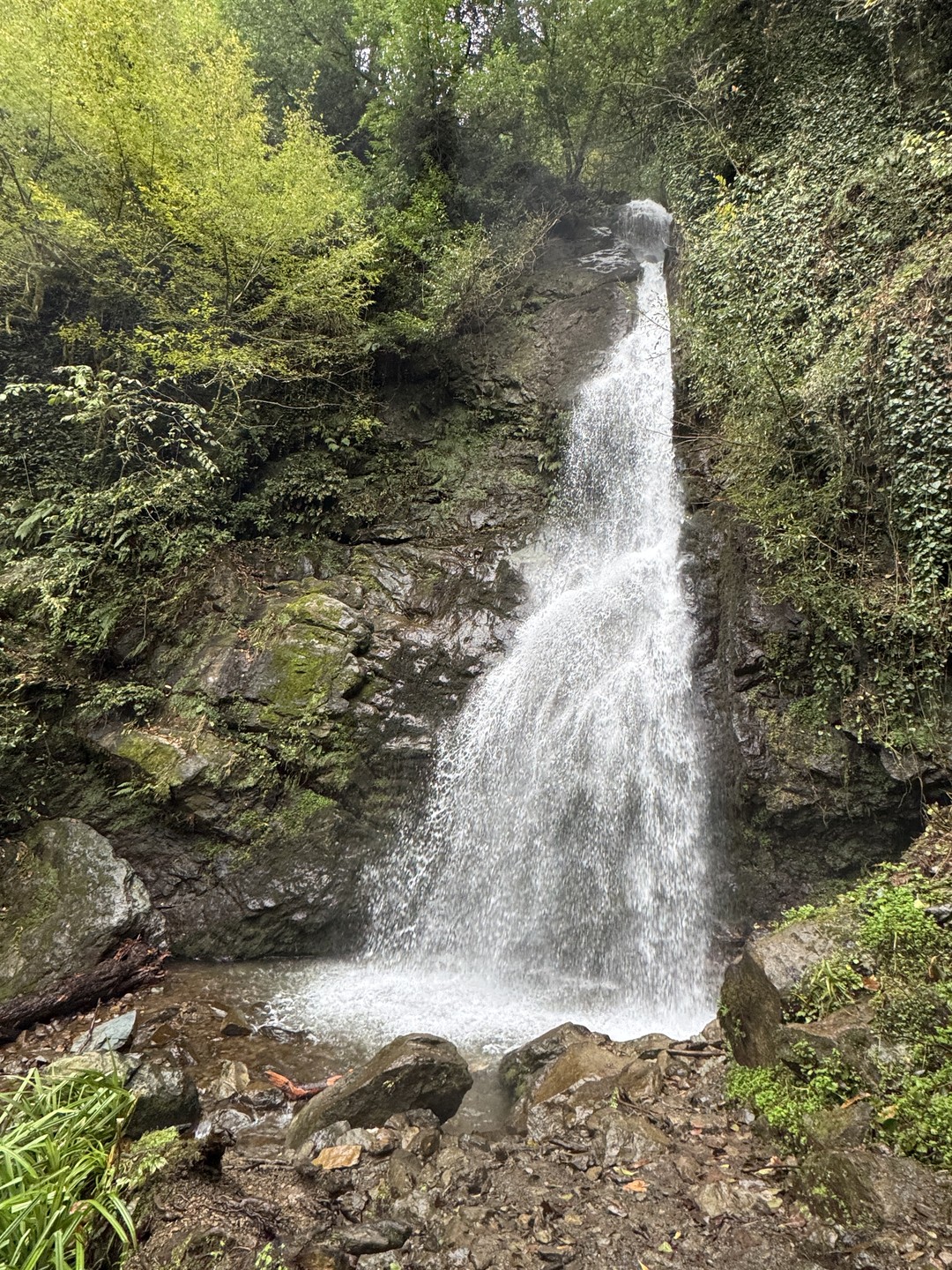 Путешествие в грузинские тропики (Светлана)