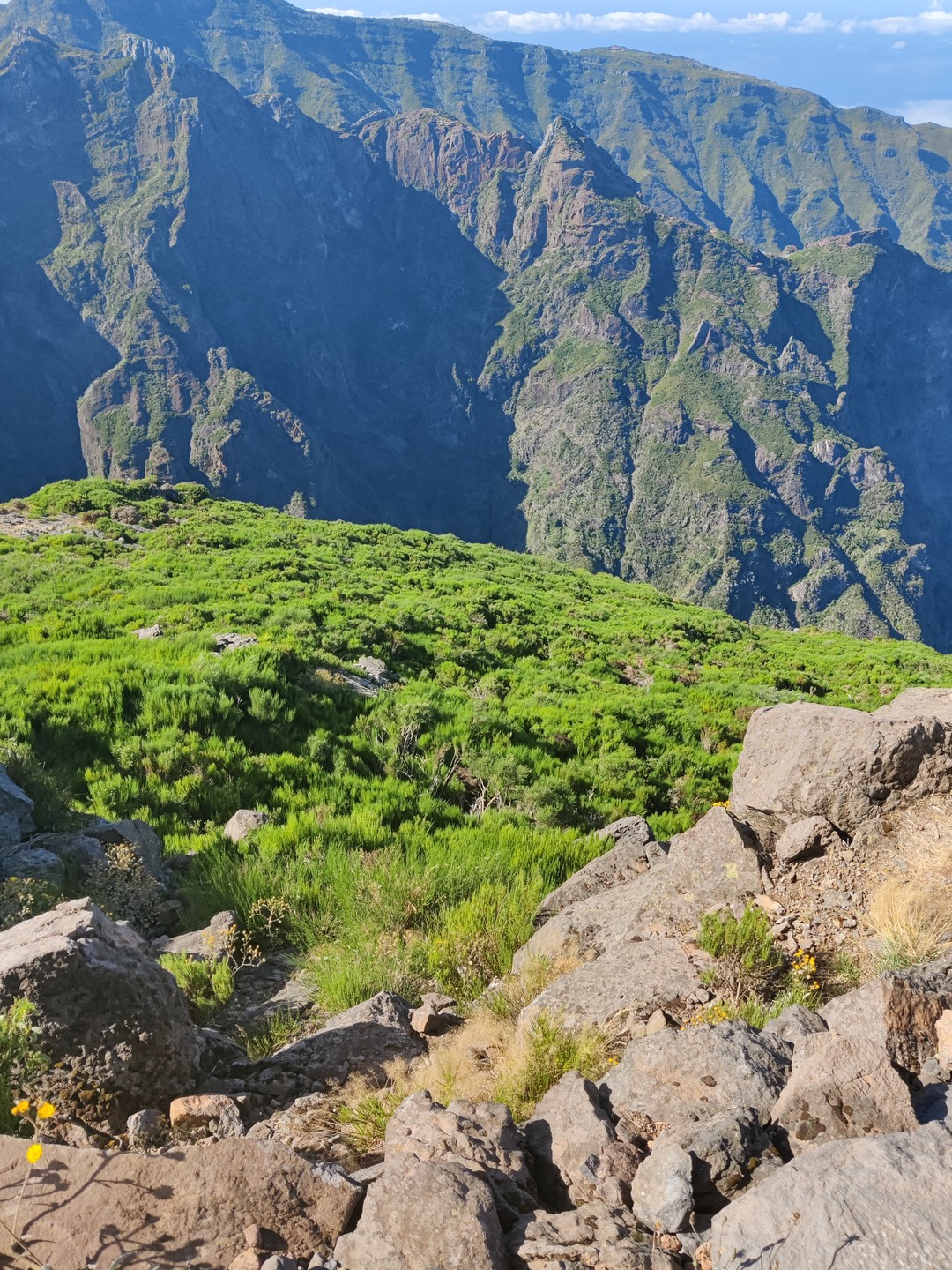Доброго времени суток.