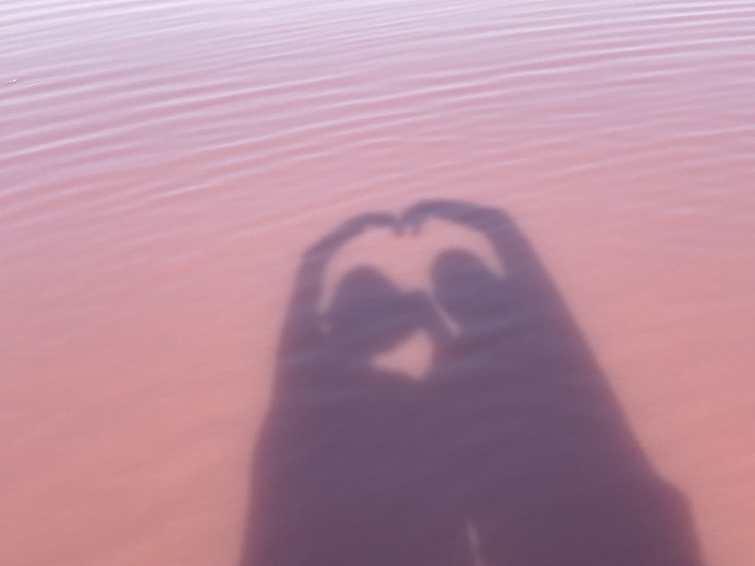 Наше с мужем первое знакомство с Баку началось с данной экскурсии от Фуада. Очень понравилась подача,