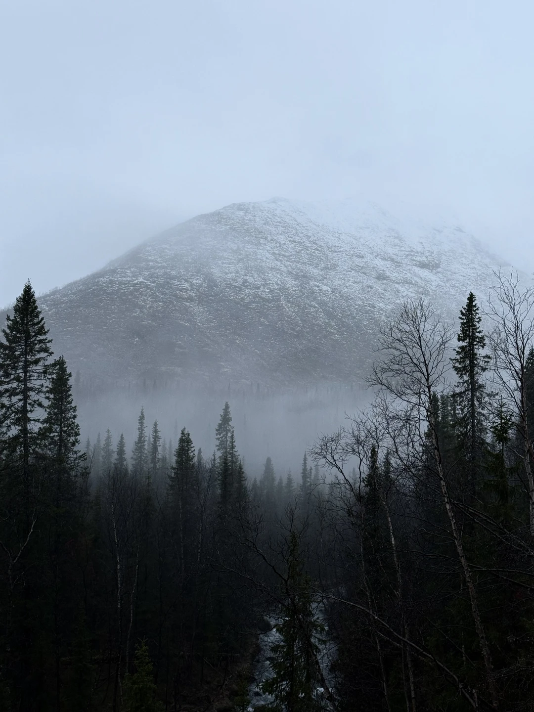 Погодные условия внесли свои коррективы, поэтому подъем на гору мы не совершили. Тем не менее, гид