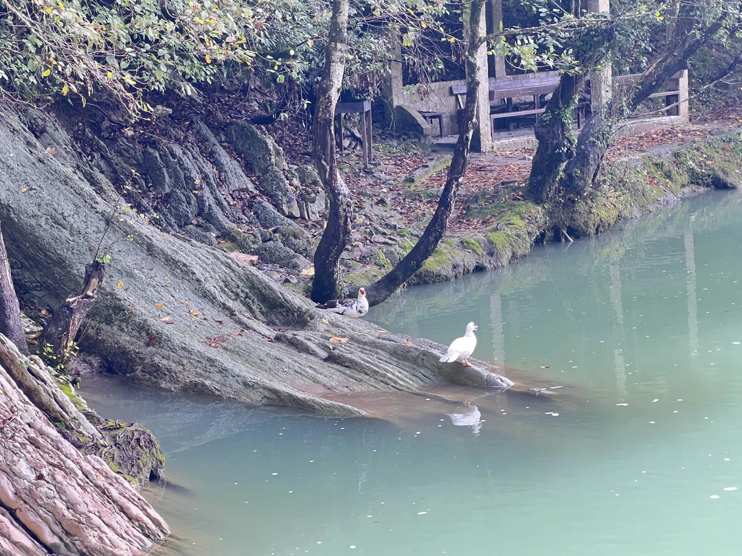 Нашим гидом была Марина. Очень приятно было слушать ее, интересный рассказчик, приятный голос. Понравился маршрут, да