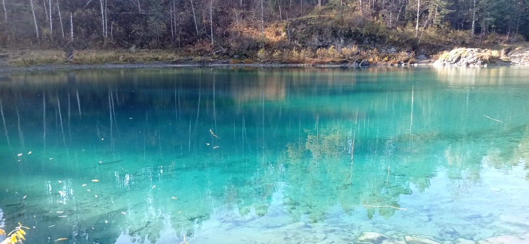 Отличная небольшая экскурсия, во время которой ещё и очень хорошая погода вышла(+18 и солнце). Если будете