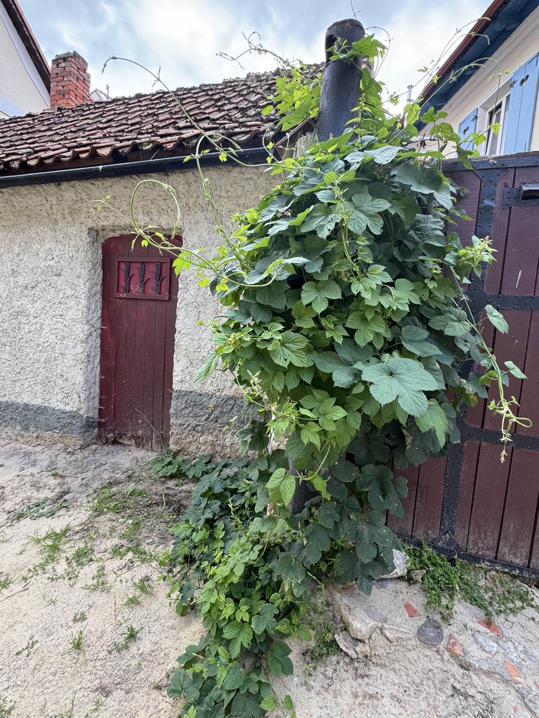 Групповая экскурсия по малым городам Калининградской области (Евгения)