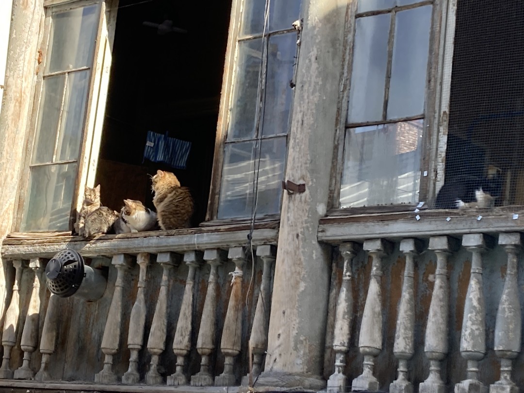 Уходящий Тифлис. Городские воспоминания (Софья)