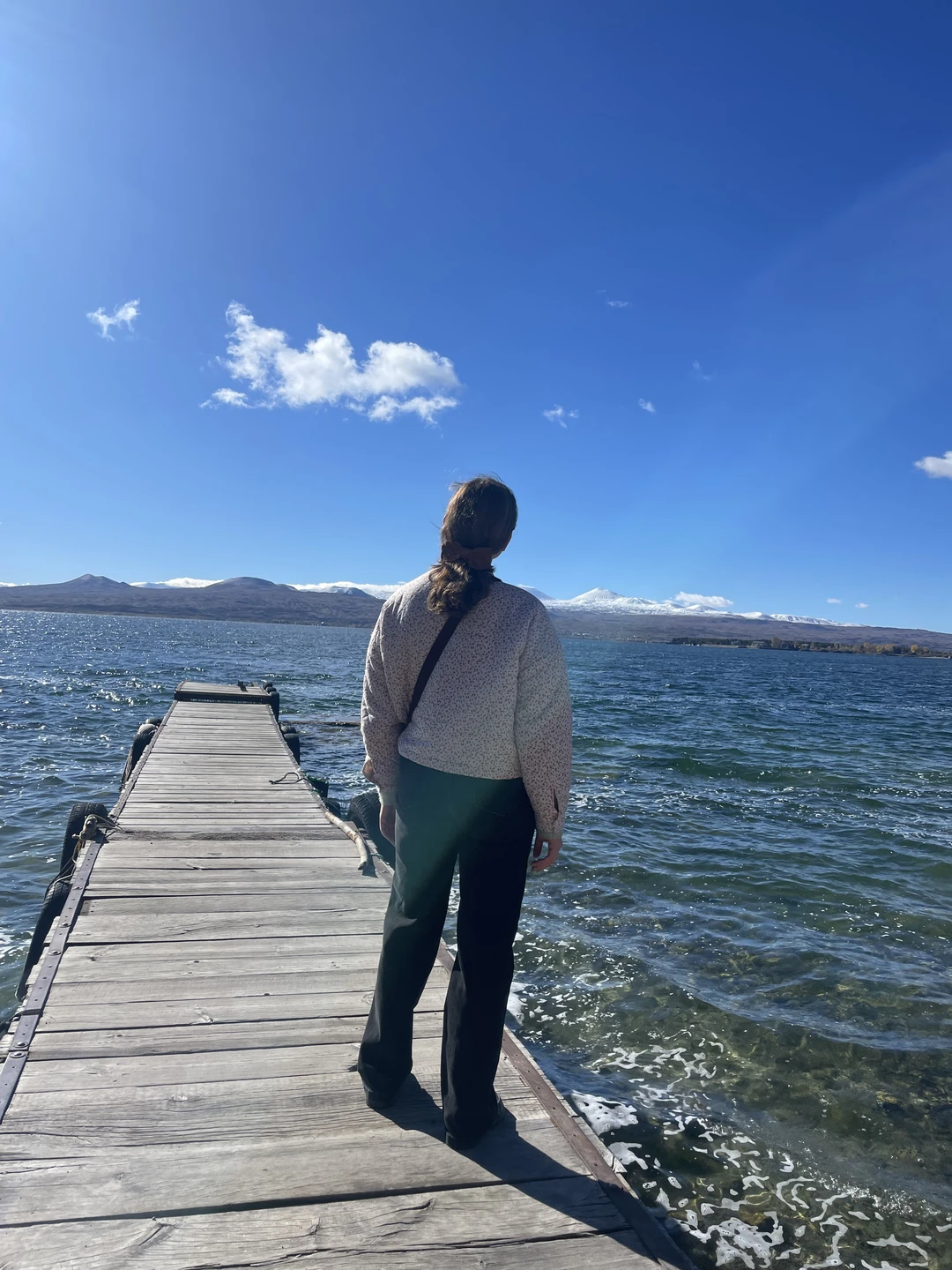 Прекрасная экскурсия, места потрясающе красивые!!! Каждая остановка, как картинка / природа, монастыри очень разные и каждый