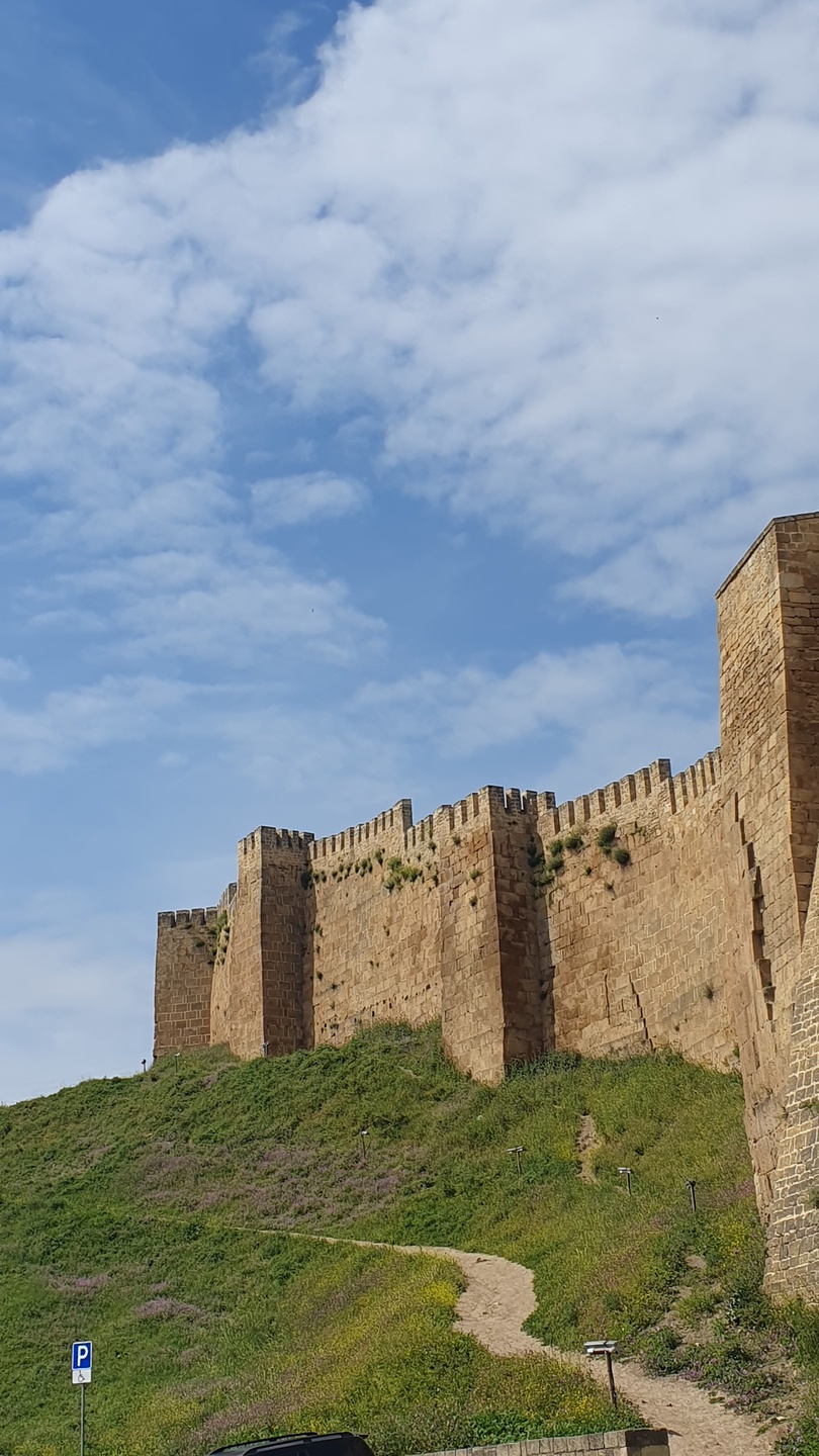Спасибо огромное гиду Шамилю за чудесную экскурсию. Сразу видно что человек увлечен своей работой. Вместо трех