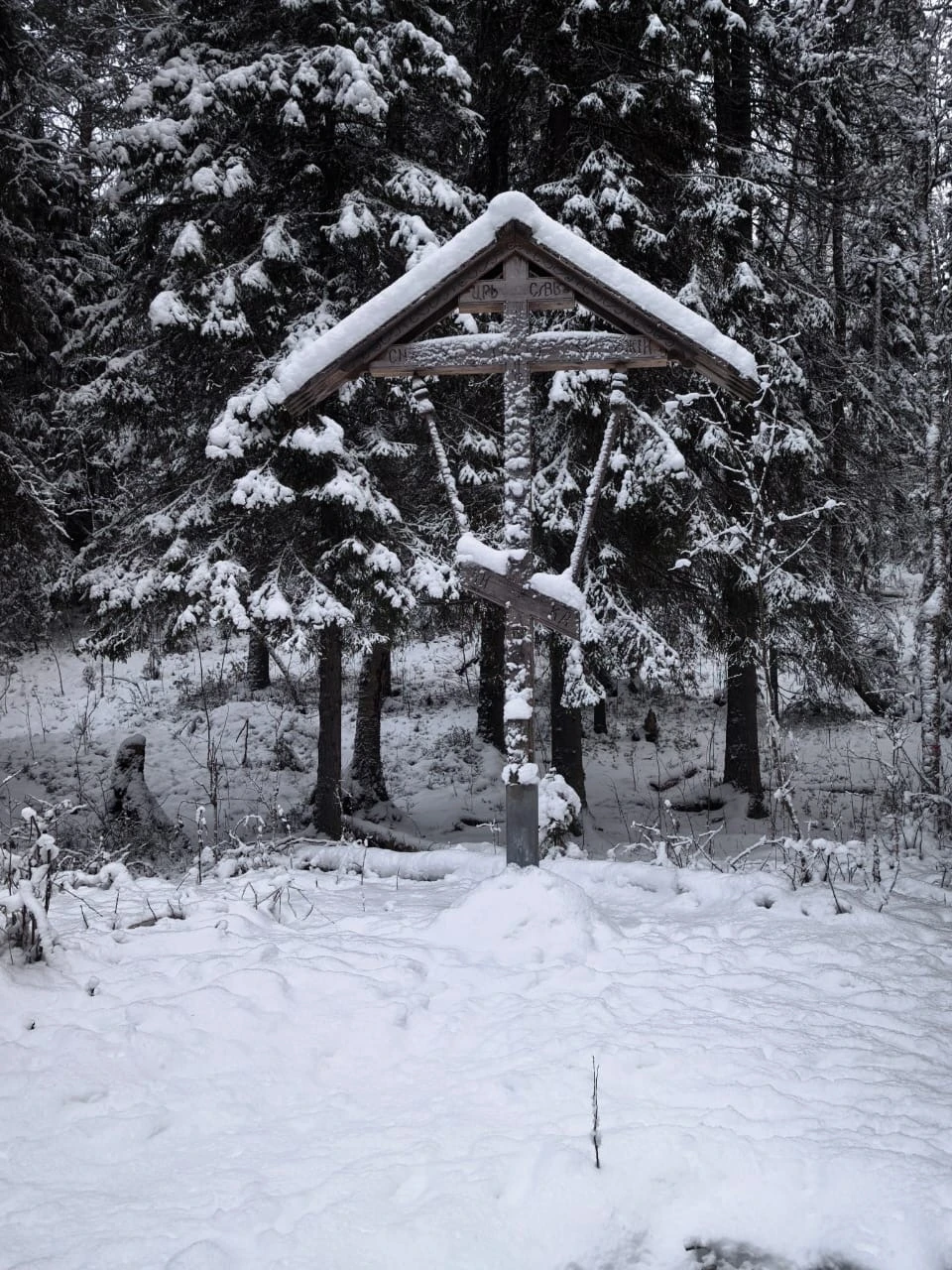 Советую! Гид Ольга - профессионал. Красивые заповедные места, загадочные природные явления очаровывают. Тонкая красота Севера открывается