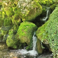 Фото путешественника — 1
