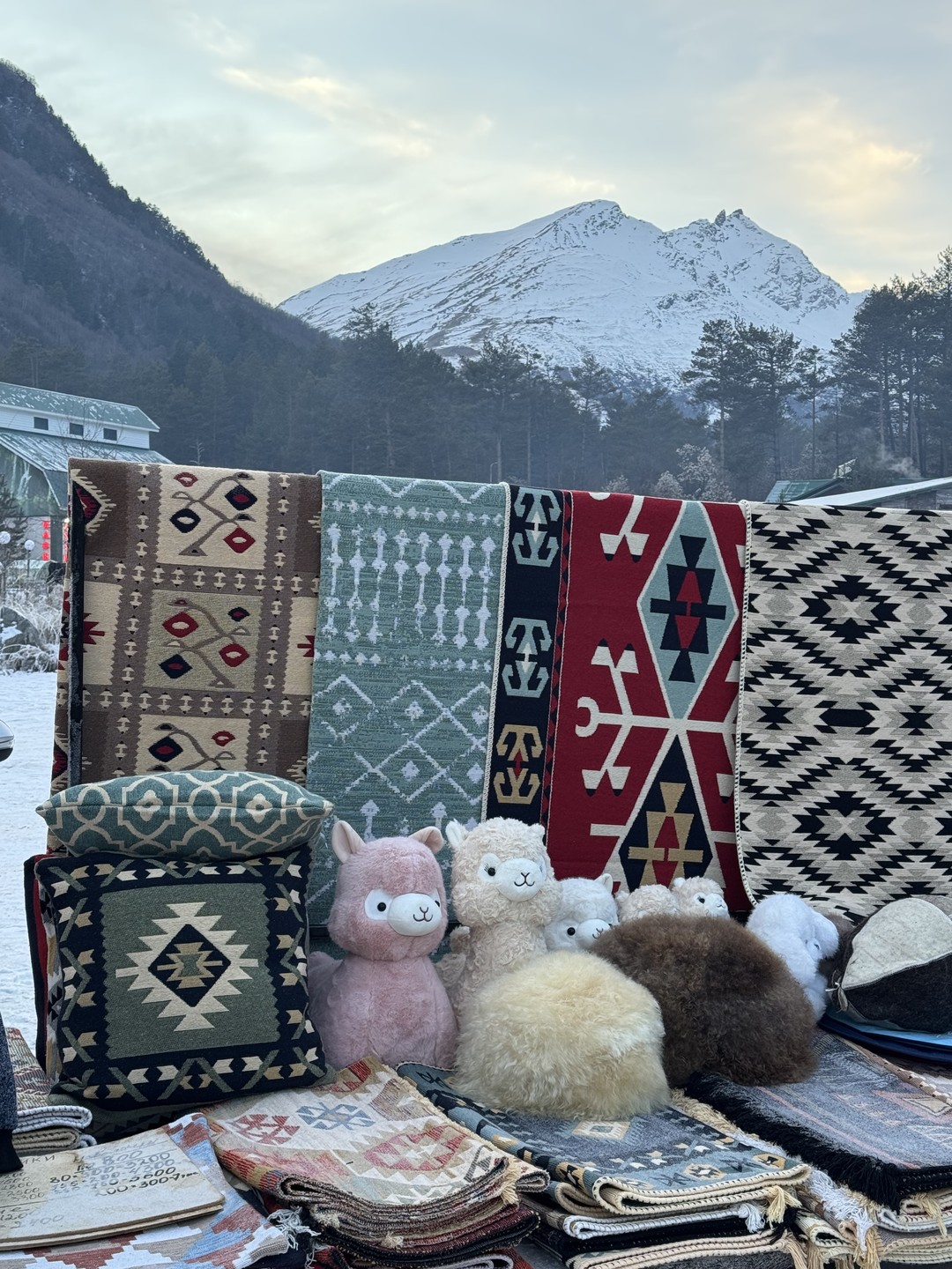 Отравилась на завтраке на первой остановке. Думаю, что не продуктами, а грязные приборы или что-то еще