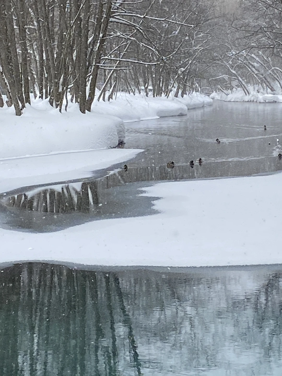 Экскурсия на Голубые озера зимой, в мороз, когда сугробы снега чуть ли не в человеческий рост