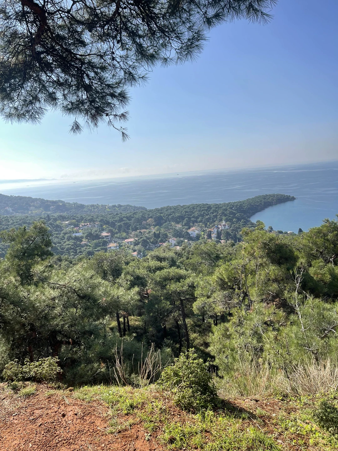 Из Стамбула - на Принцевы острова (Александра)