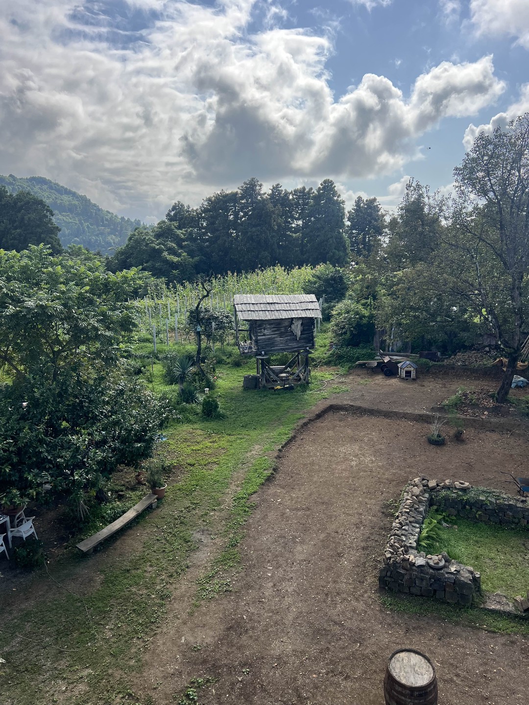 Увлекательное путешествие в мир виноделия из Батуми (Наталья)