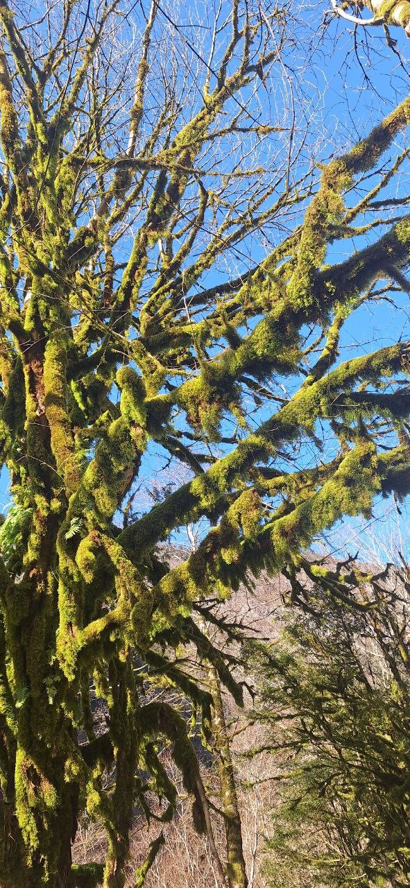 Были на экскурсии 11.03.2026. Всё понравилось. Виктор учел все наши пожелания, показал и рассказал интересные места