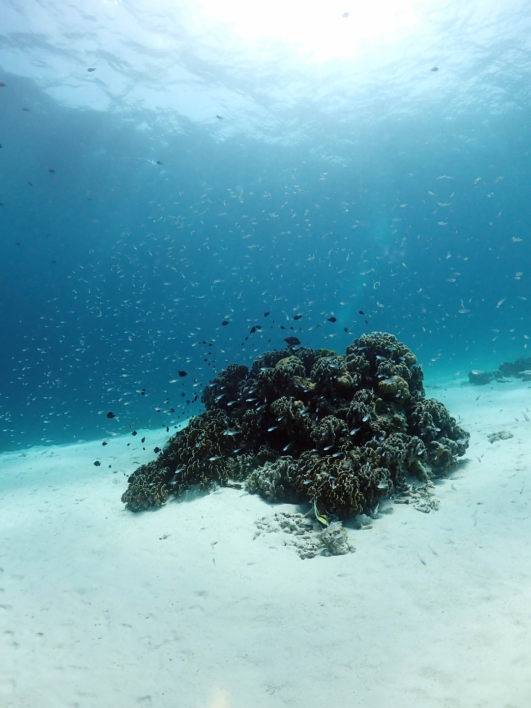 Нам очень понравилось. У нас был инструктор Антон - очень доброжелательный и заботливый