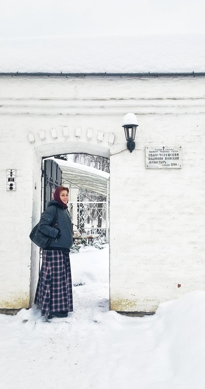 Два Владимира за одну прогулку
