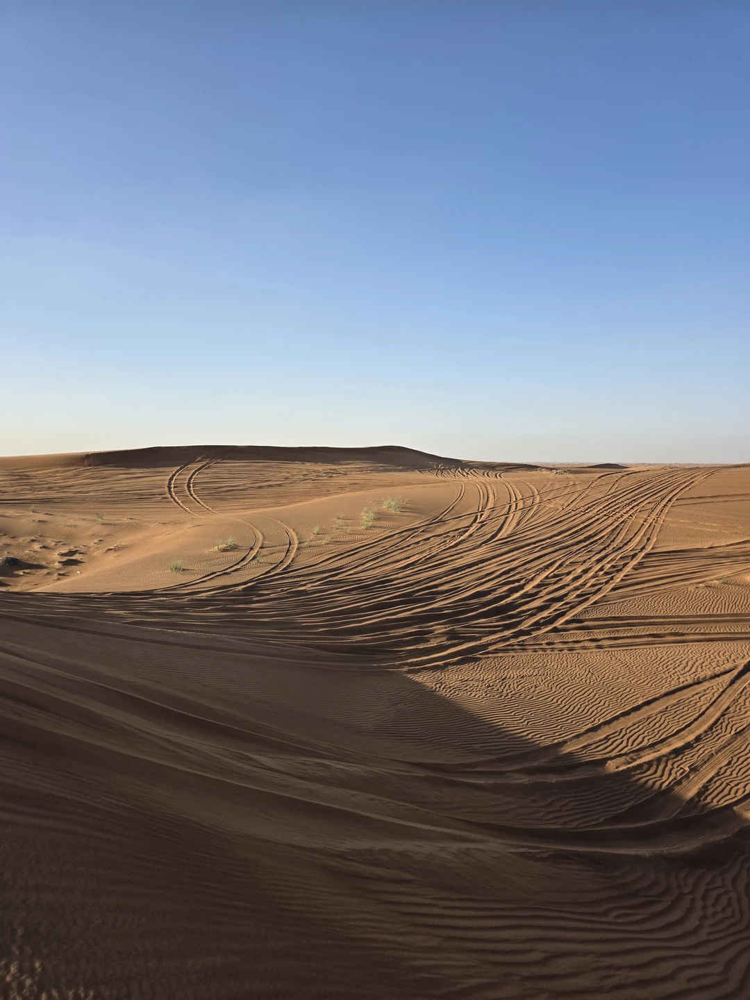 Сегодня были на сафари с водителем Али. Все понравилось,вождение аккуратное,общение вежливое. В пустыне все,кто хотел катались