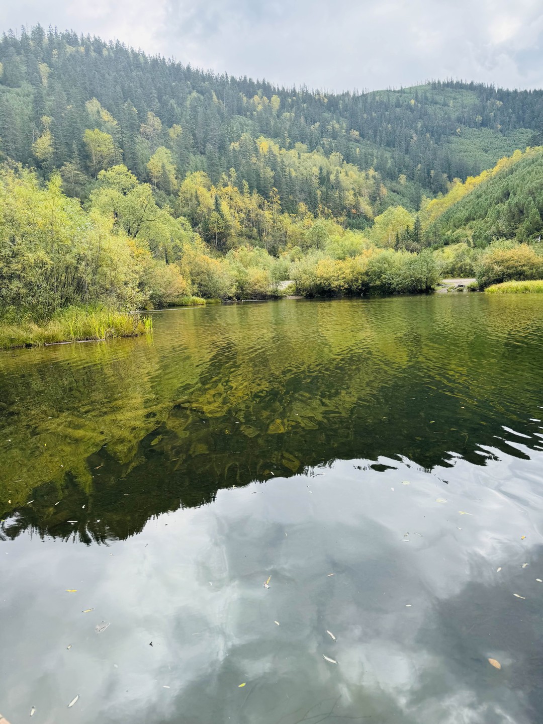 Сказка озера Амут (Лидия)
