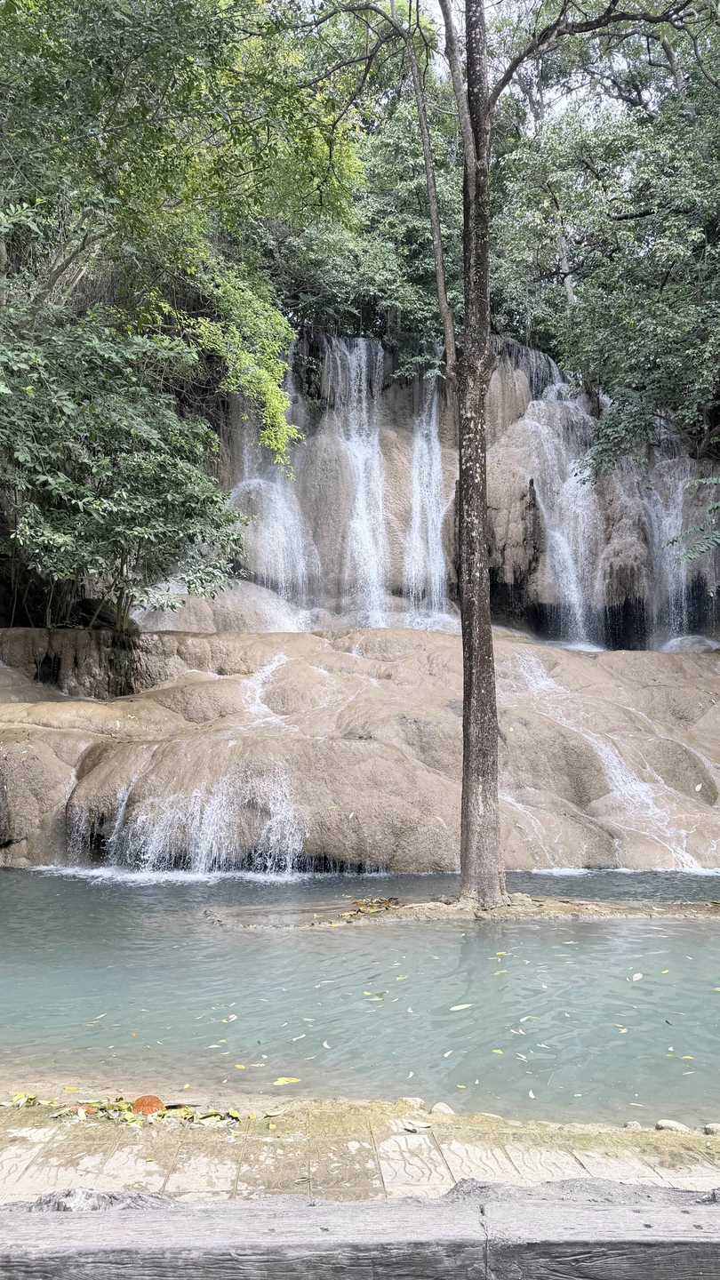 Поездка шикарная! ⭐️⭐️⭐️⭐️⭐️