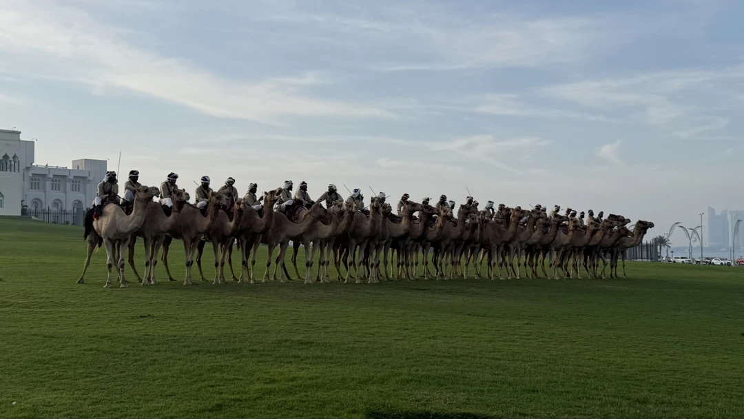 Здравствуйте, были на экскурсии с гидом Хайсам. Все понравилось, отписался по поводу начала экскурсии, приехал вовремя