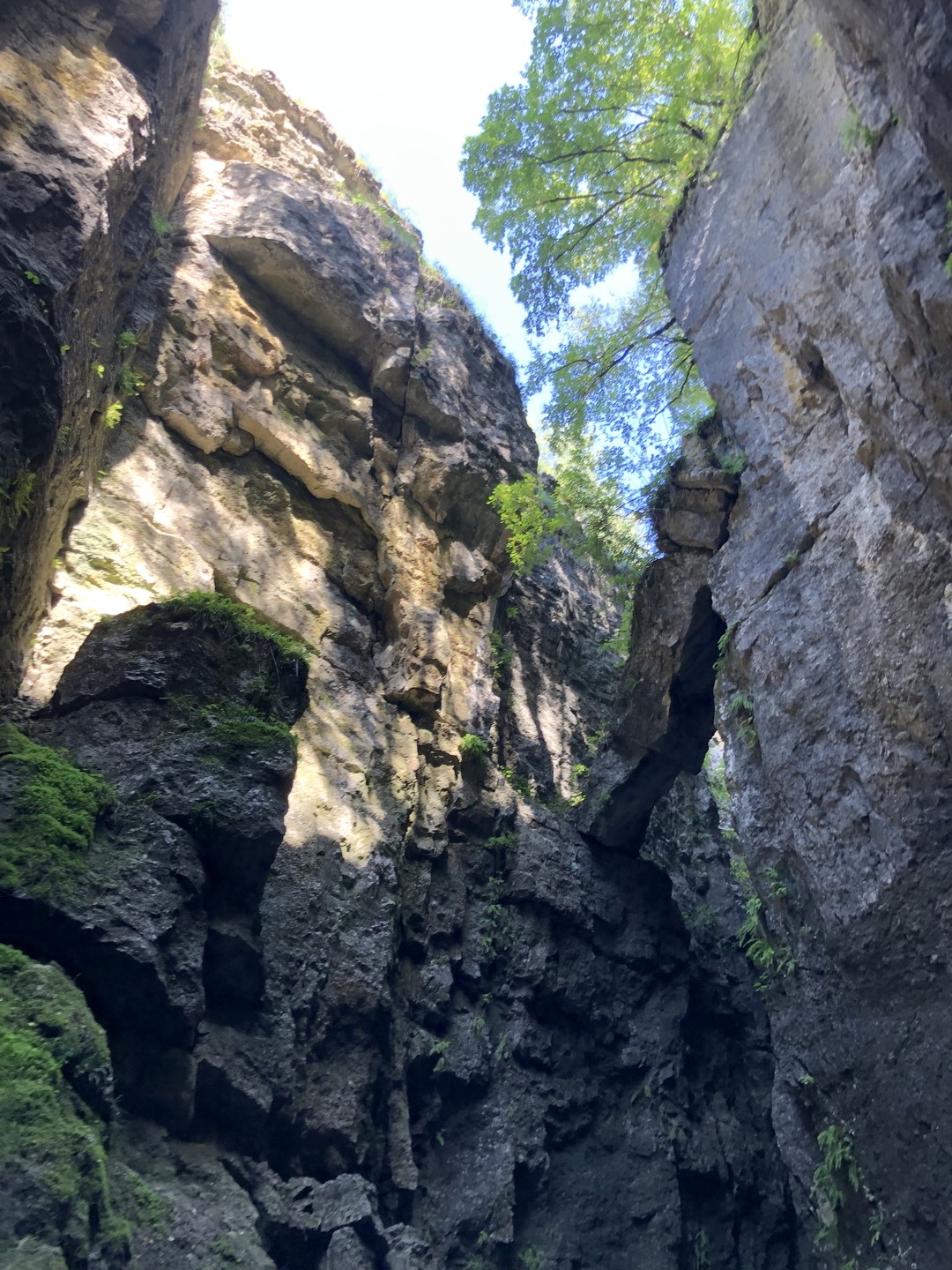 ПРОСТО откройте глаза и смотрите! ПРОСТО откройте уши и слушайте! ПРОСТО откройте сердце и наполните его