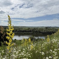 Фото отзыва 3: экскурсия "Места силы и вдохновения в Серпухове: Подмоклово, Бёхово, Поленово"