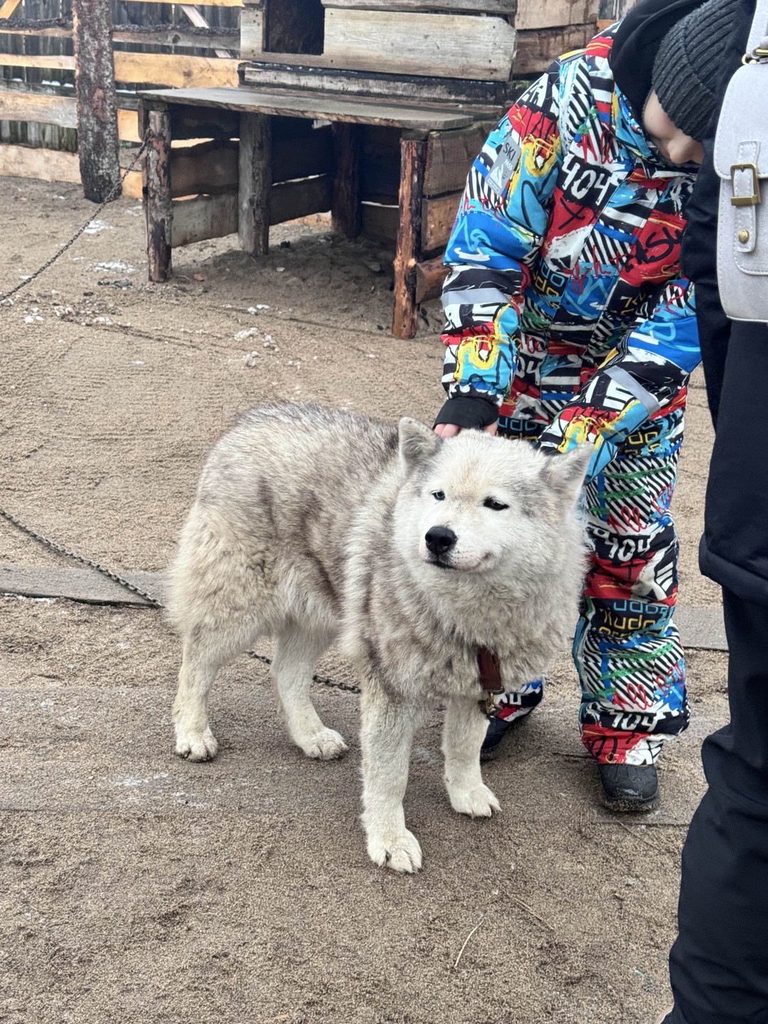 Вчера я провел чудесный день в Цзе Ли. Я восхищался водопадами, пляжами, китами и так далее