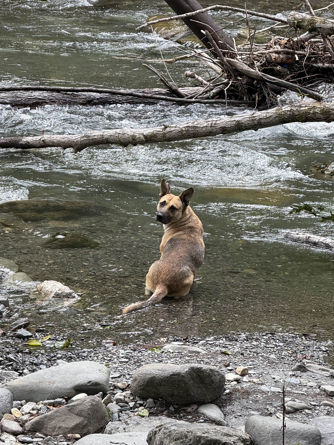 Всё отлично! Велопробег удался!