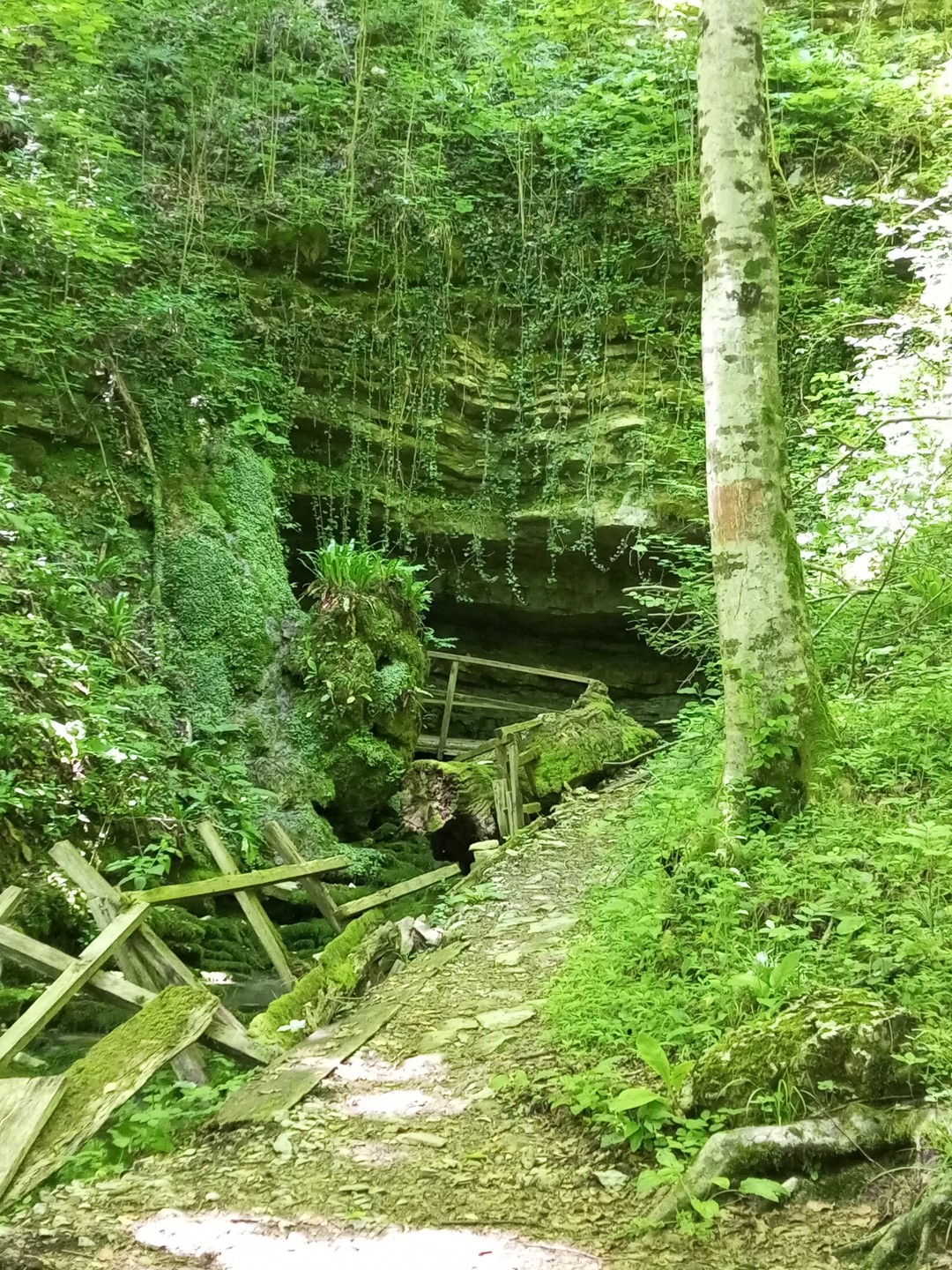 На этот тур наткнулась случайно, но счастье получила в полной мере. Отдых был просто замечательный! Утренние