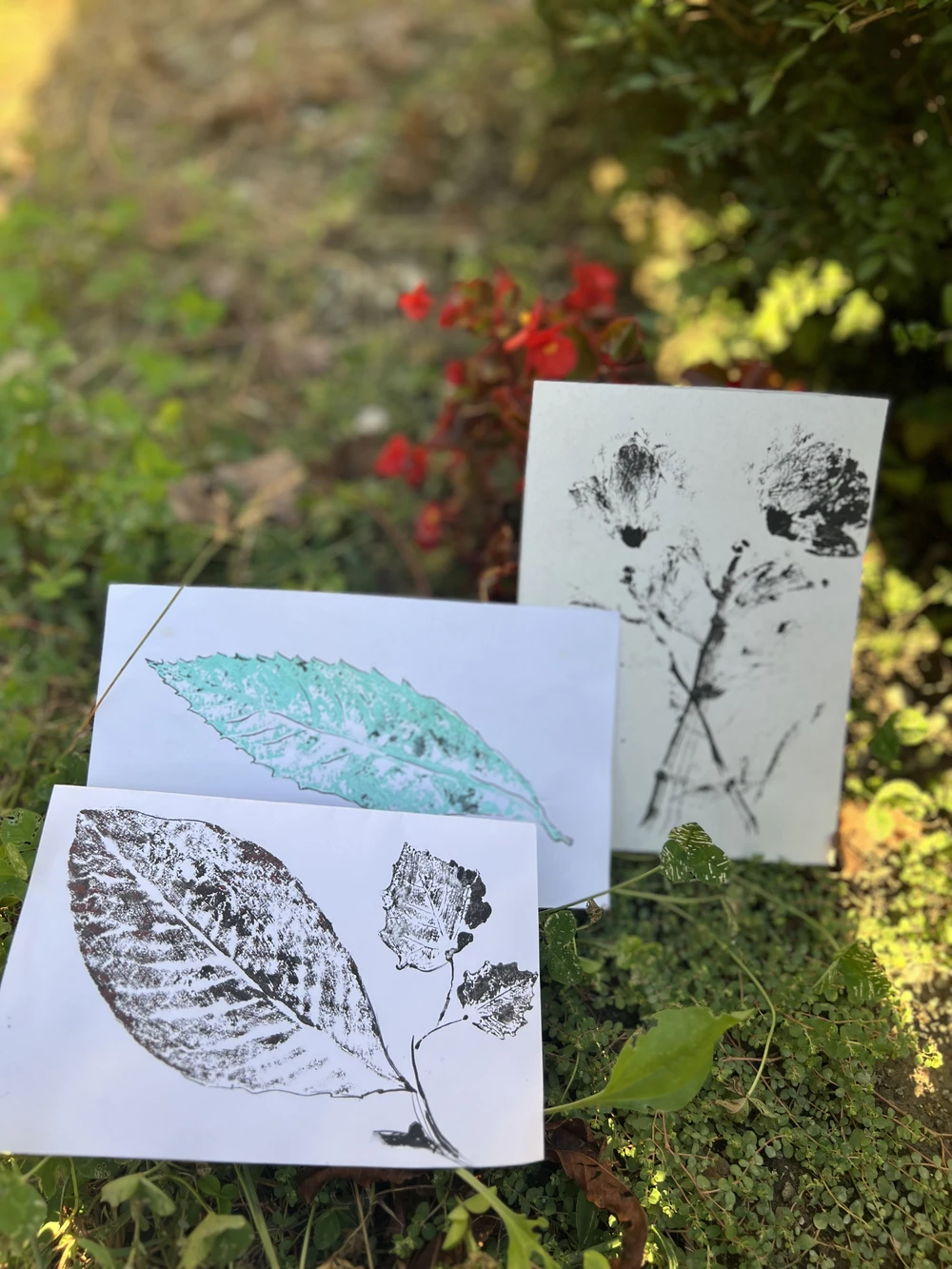 Мастер-класс по монопечати растений в Сочи (9/18)