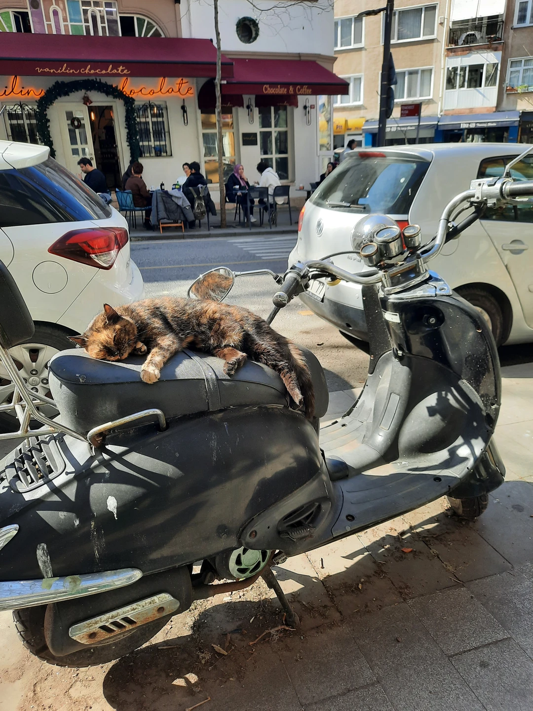 Нетривиальный Стамбул: Босфор, Кадыкёй и Долмабахче (Анастасия)