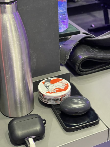 Индивидуальная Экскурсия с собакой с тарифами (Ислам)