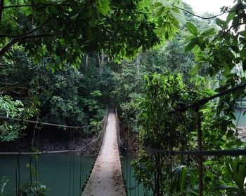 Национальный парк «Корковадо»