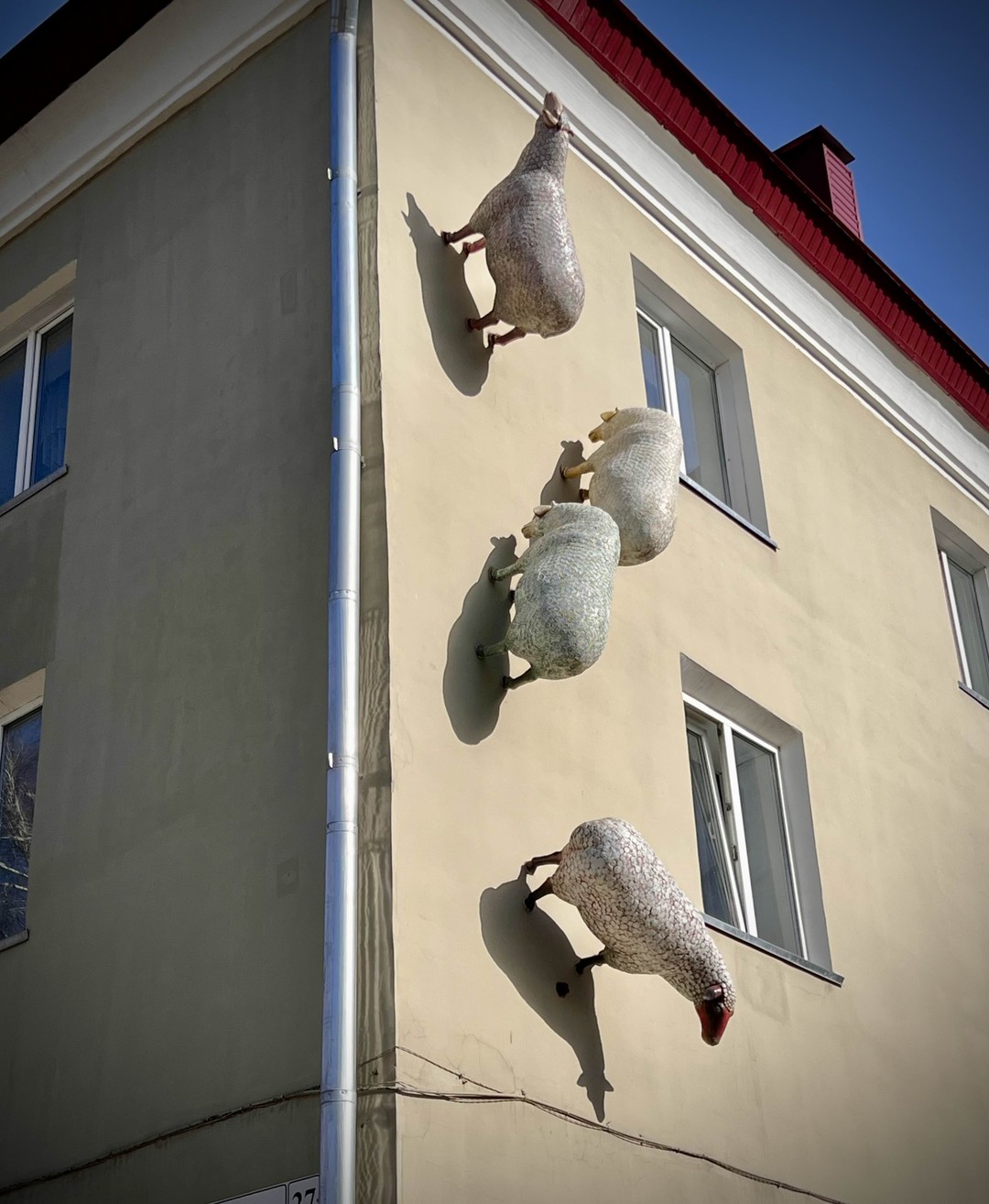Фото отзыва 9: экскурсия "Горно-Алтайск: история и современность"