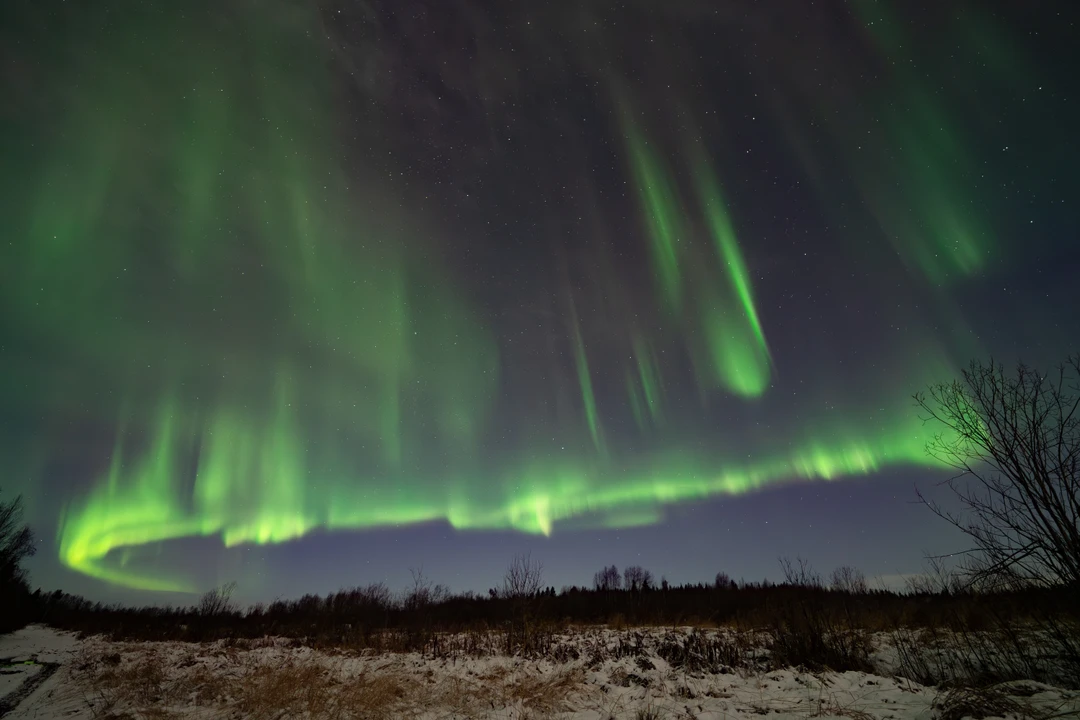 Спасибо Алексею и Анне за возможность увидеть такое удивительное явление и почувствовать себя настоящими охотниками